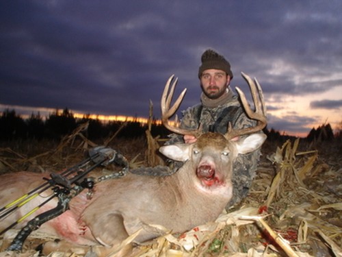 Buffalo County Whitetails Photo