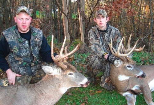Buffalo County Whitetails Photo
