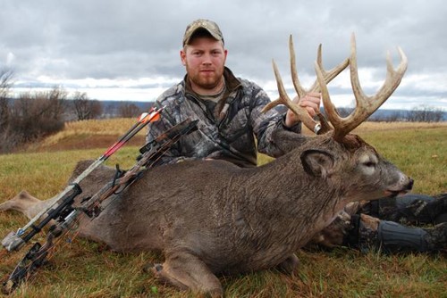Buffalo County Whitetails Photo