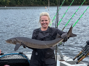 Sturgeon fishing during the fall can be a blast below some of the Dams. 